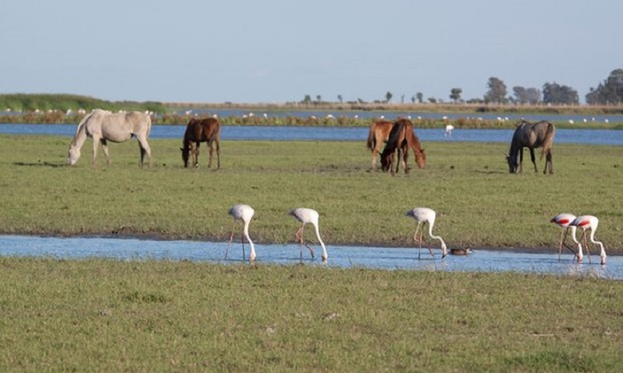 Spain could be first EU country with national park listed as `in danger`